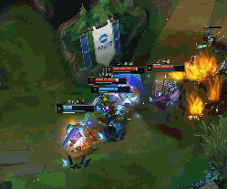 球队的整体 球队的整体