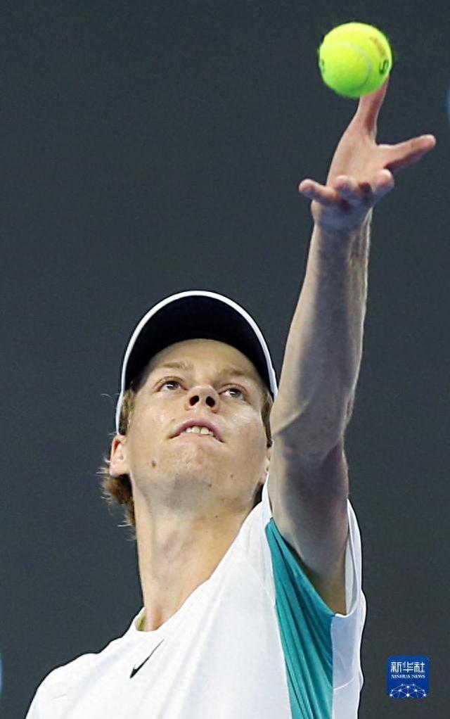 年轻的土耳 年轻的土耳